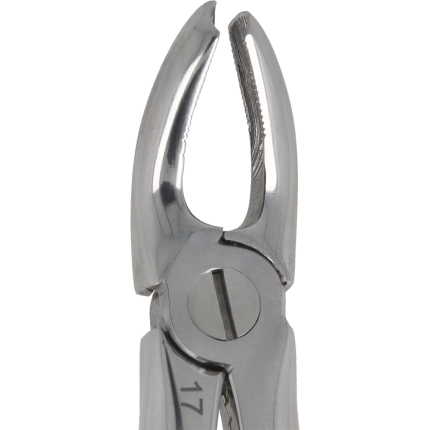 Berten type extraction forceps PLUS - 17 upper molars